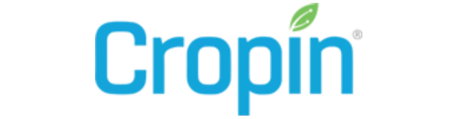 New-Project-14.webp